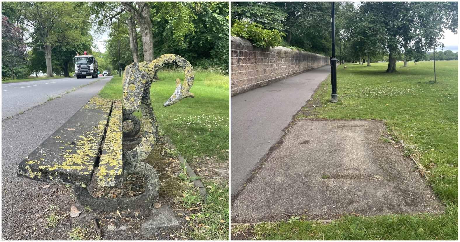 serpentbench-lichenmissing