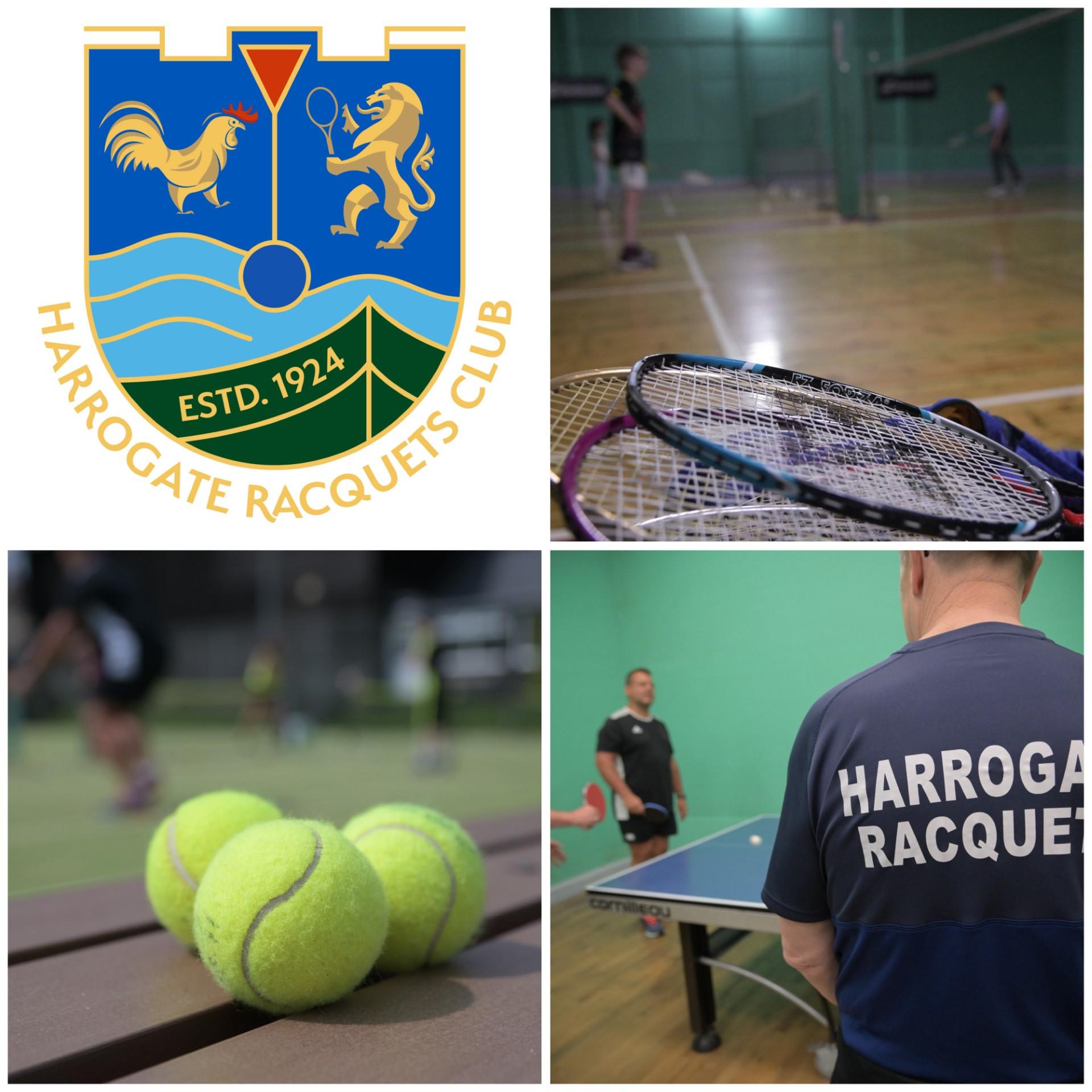 stray-ferret-harrogate-racquets-club
