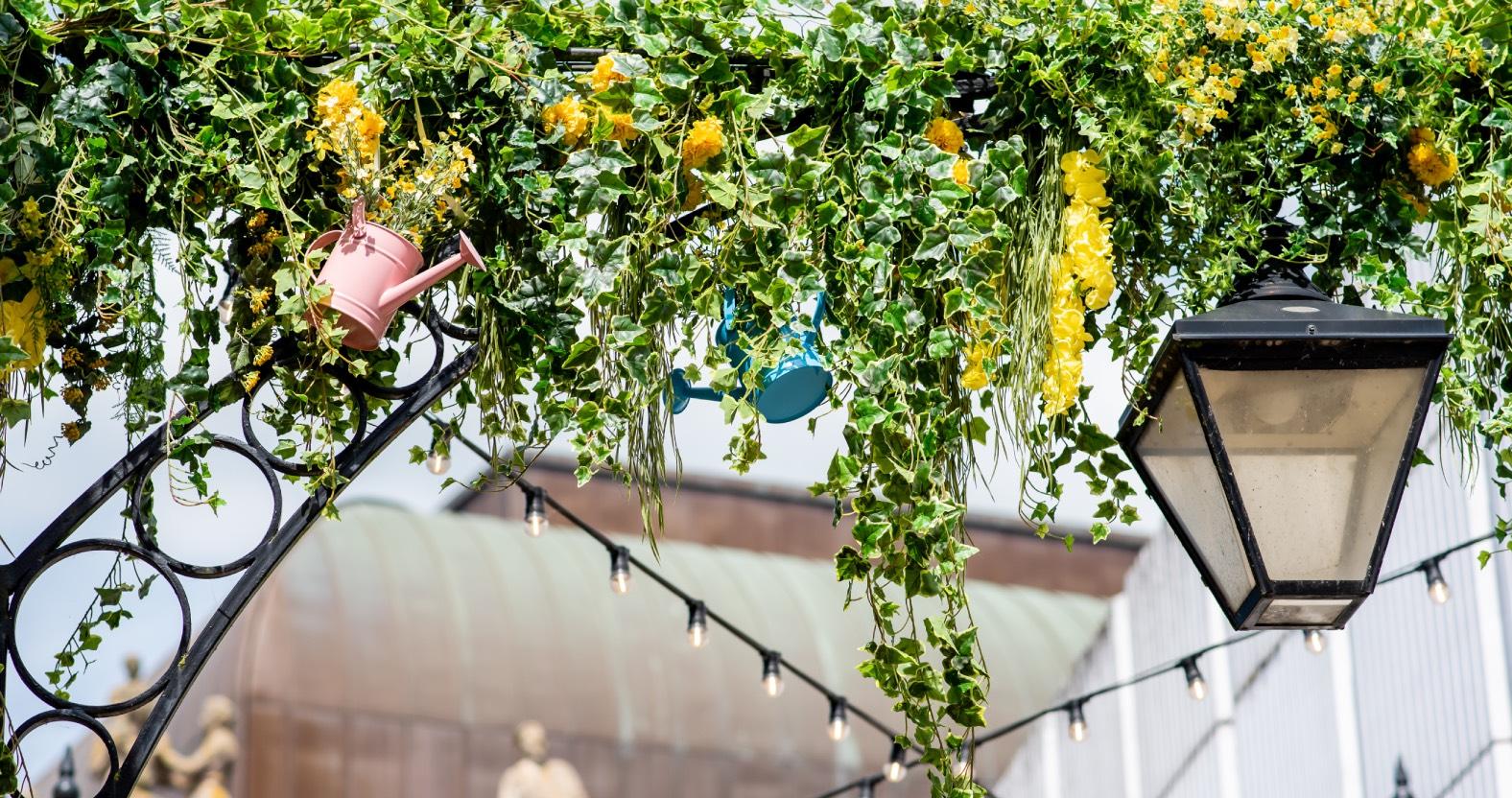 web073-harrogate-floral-summer-of-celebration-jma-photography