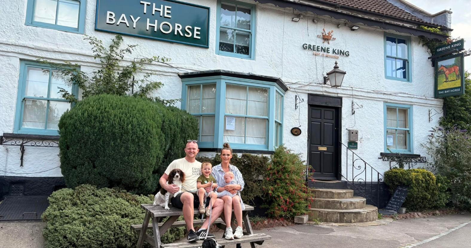 bay-horse-green-hammerton