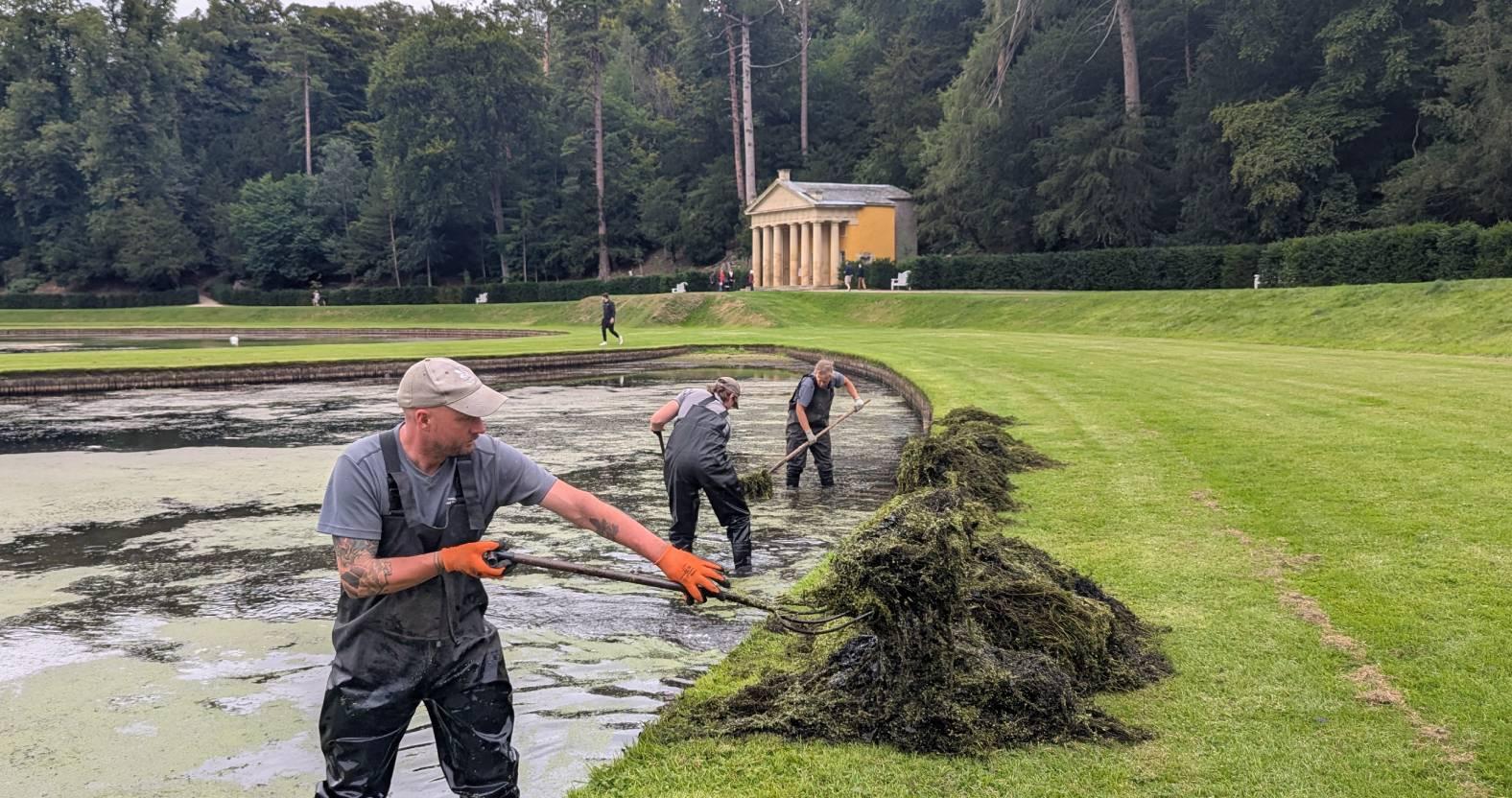 gardeners-working-to-clear-algae-from-the-moon-ponds-in-the-studley-royal-water-garden
