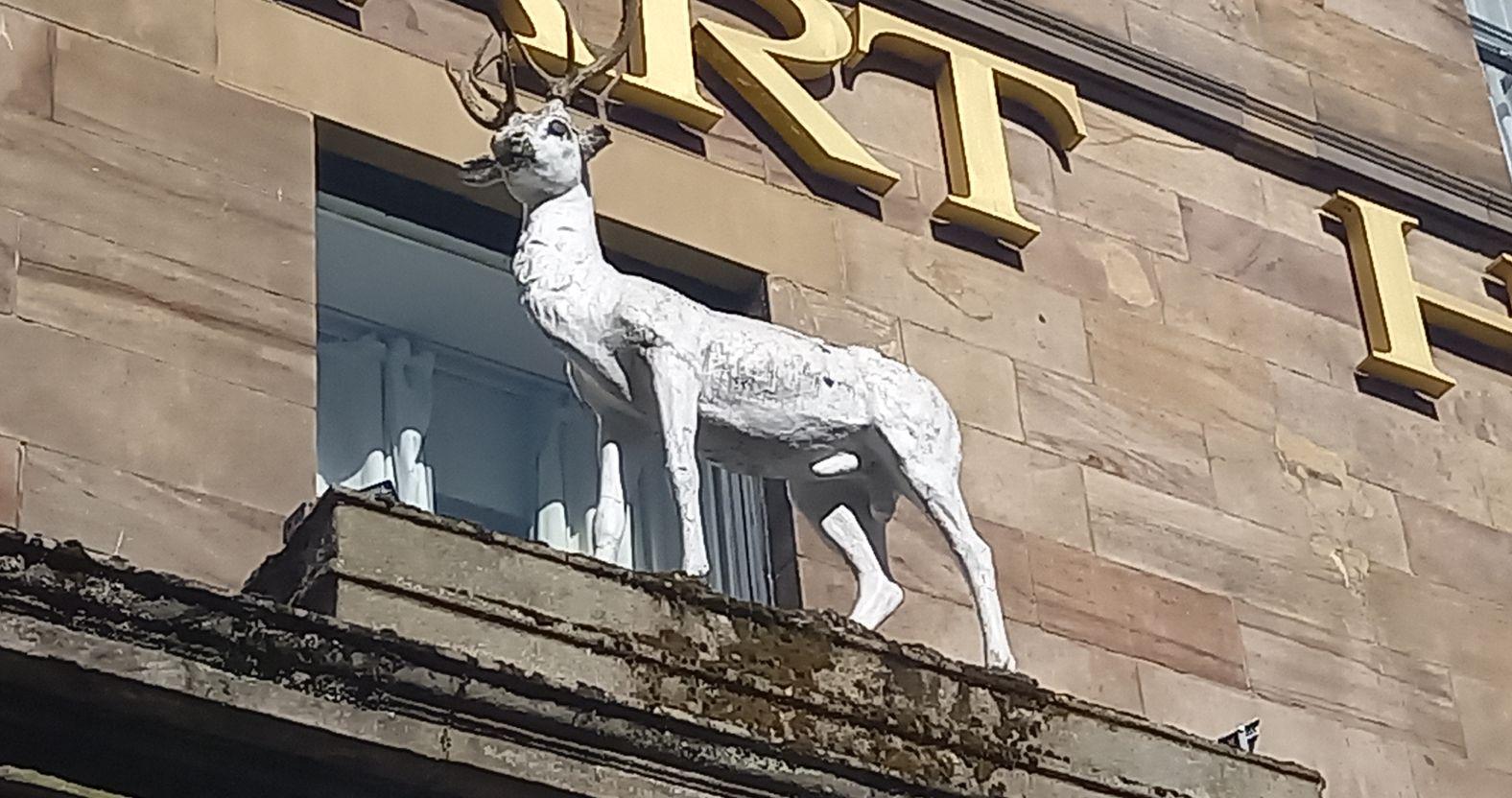 harrogate-whitehart-hart