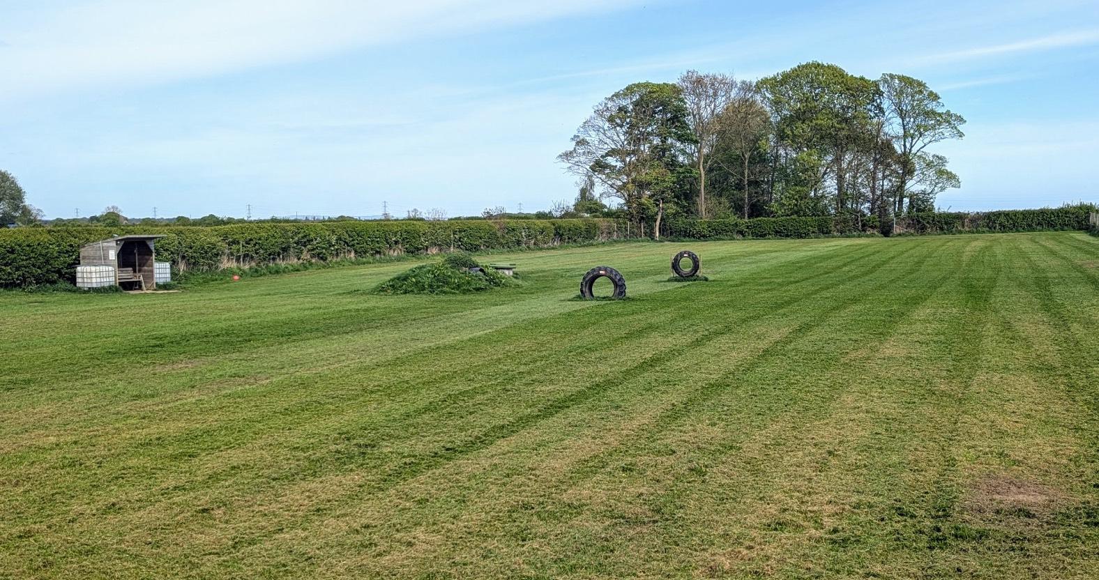 web-tockwith-dog-fields