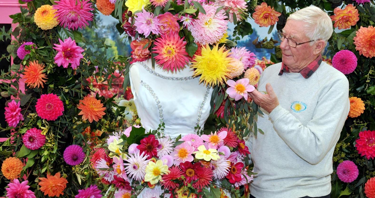 geoff-gardener-chairman-of-the-northern-committee-of-the-national-dahlia-society-which-won-best-specialist-society-at-the-show
