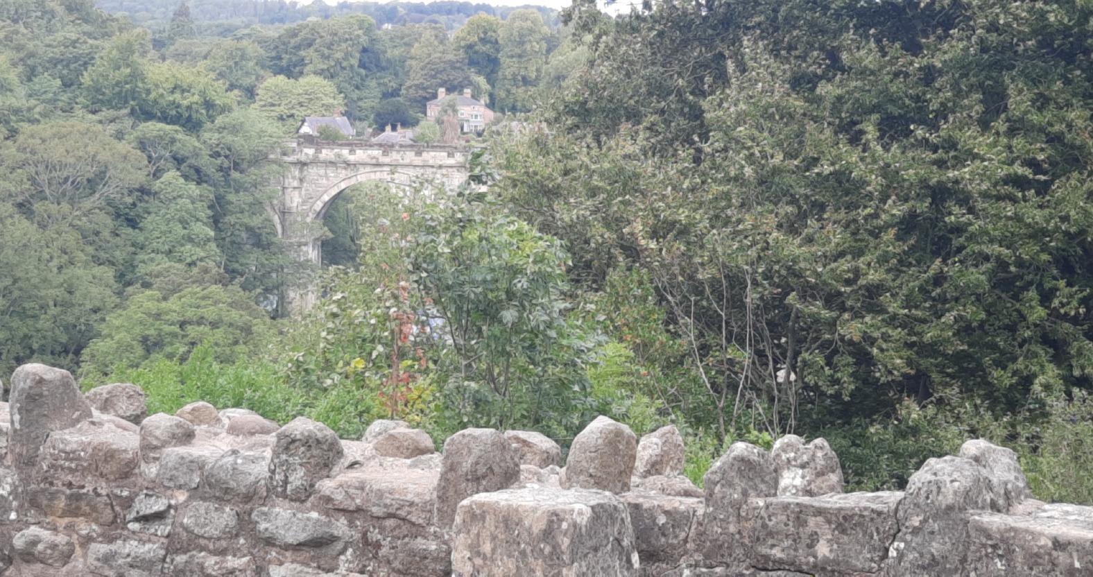 a9f4c11d-d97f-47f8-91f7-dfed92f1034b