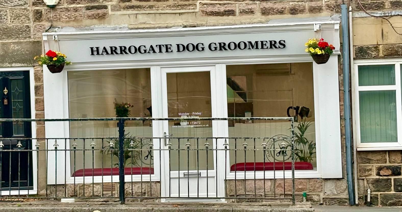 web-harrogate-dog-groomers-2