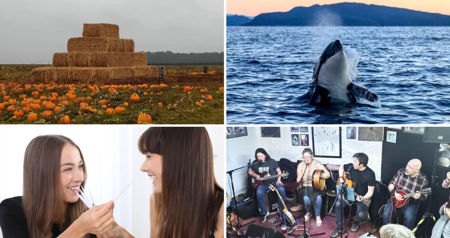 webphoto-collage-png-2
