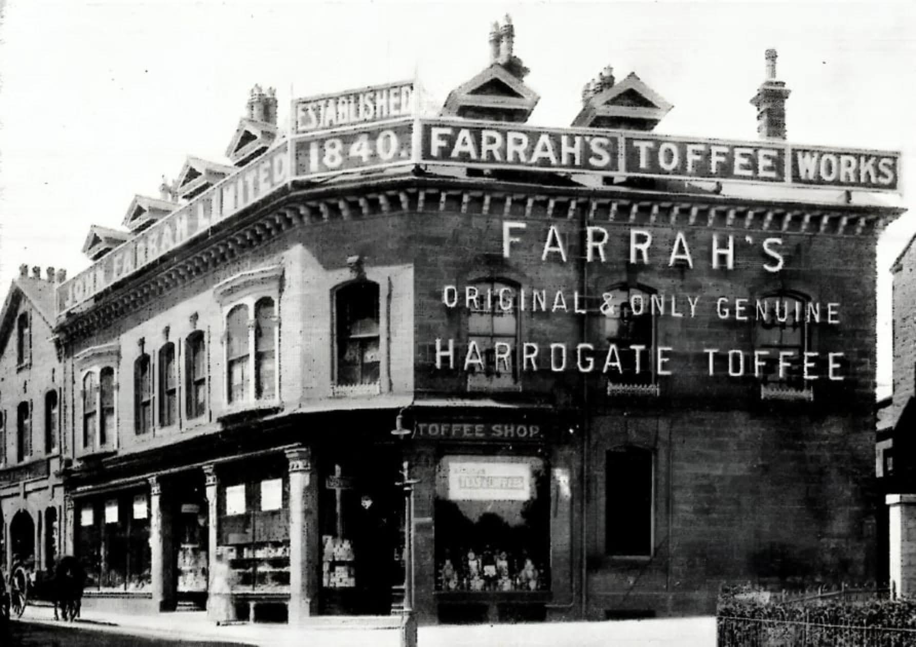 harrogate-farrahs-bandw