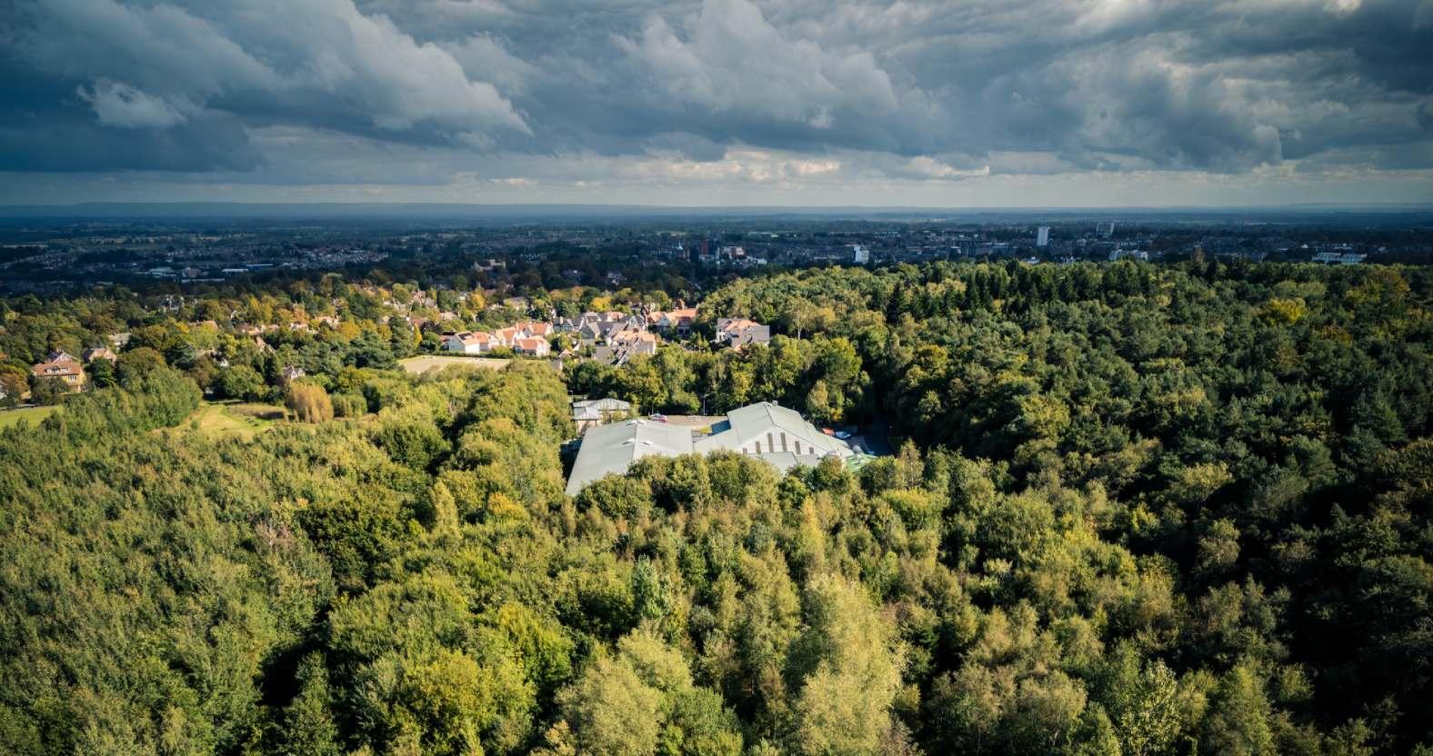 harrogate-rotarywood-2025