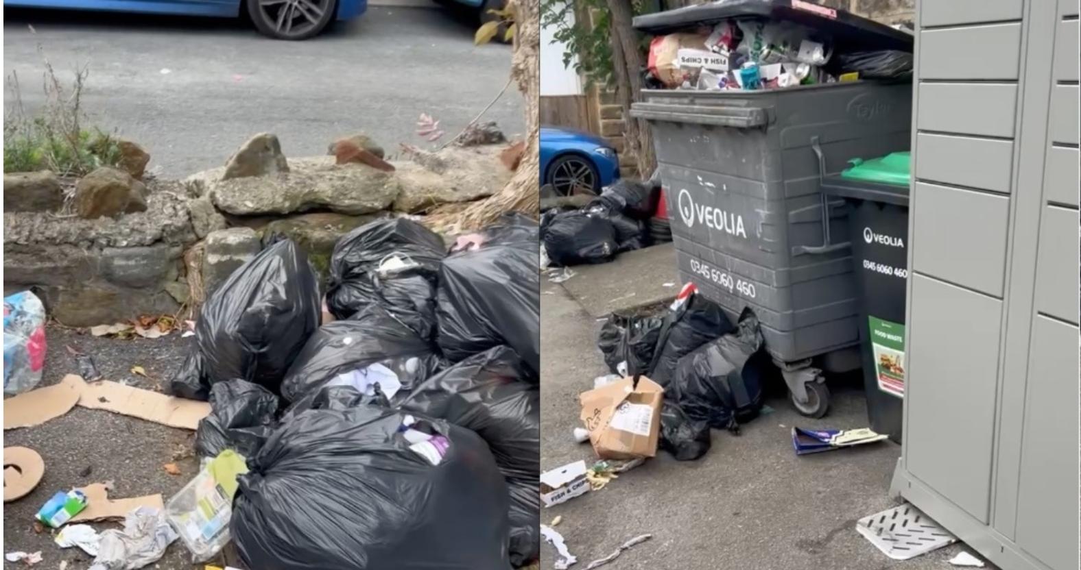 mixcollage-21-oct-2025-03-47-pm-8710-2