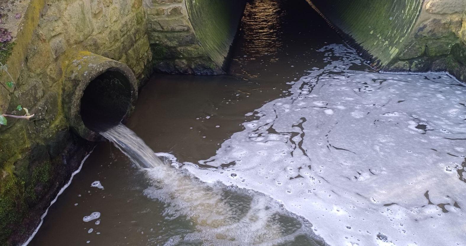 outfallsafari-culvert