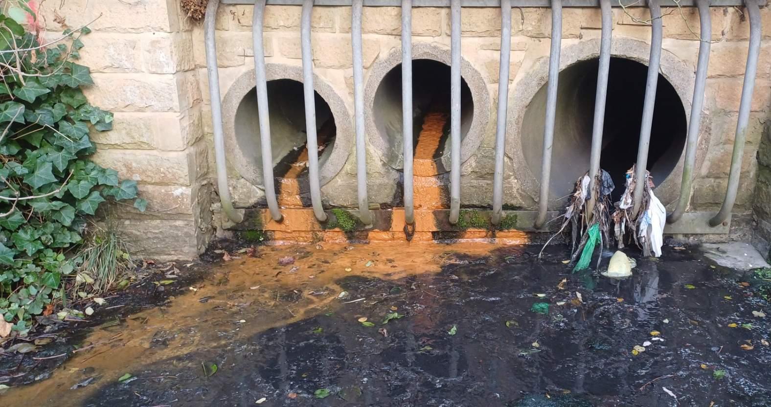 outfallsafari-outfall