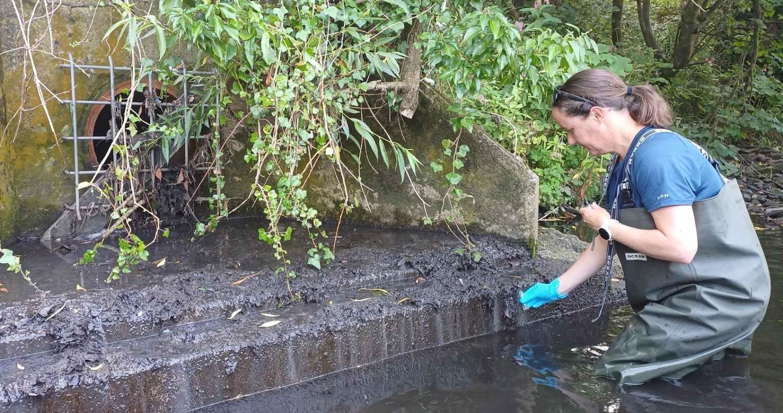 outfallsafari-samplecollection