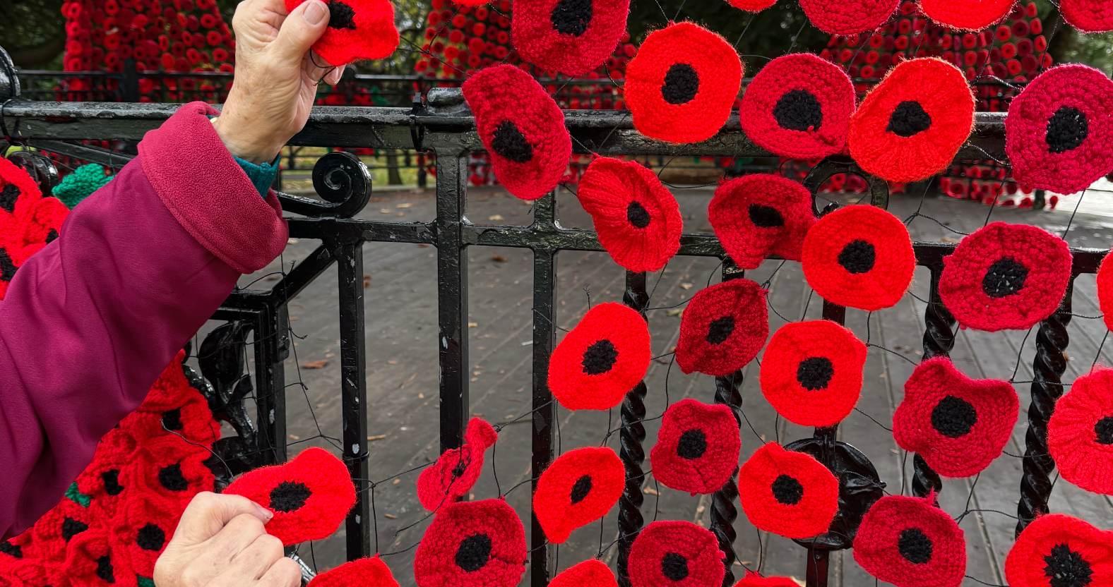 riponpoppyvandalism-cutnet