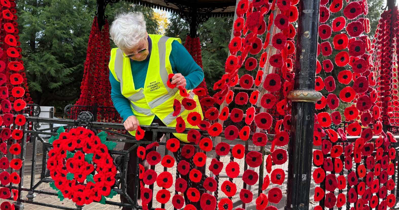 riponpoppyvandalism-hazelbarker