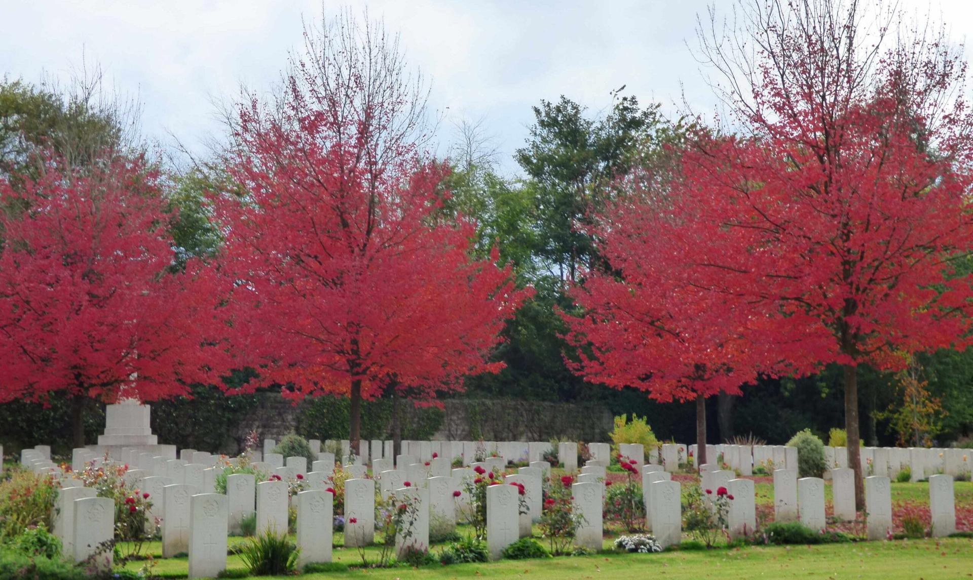 stonefallcemetery-autumncolours