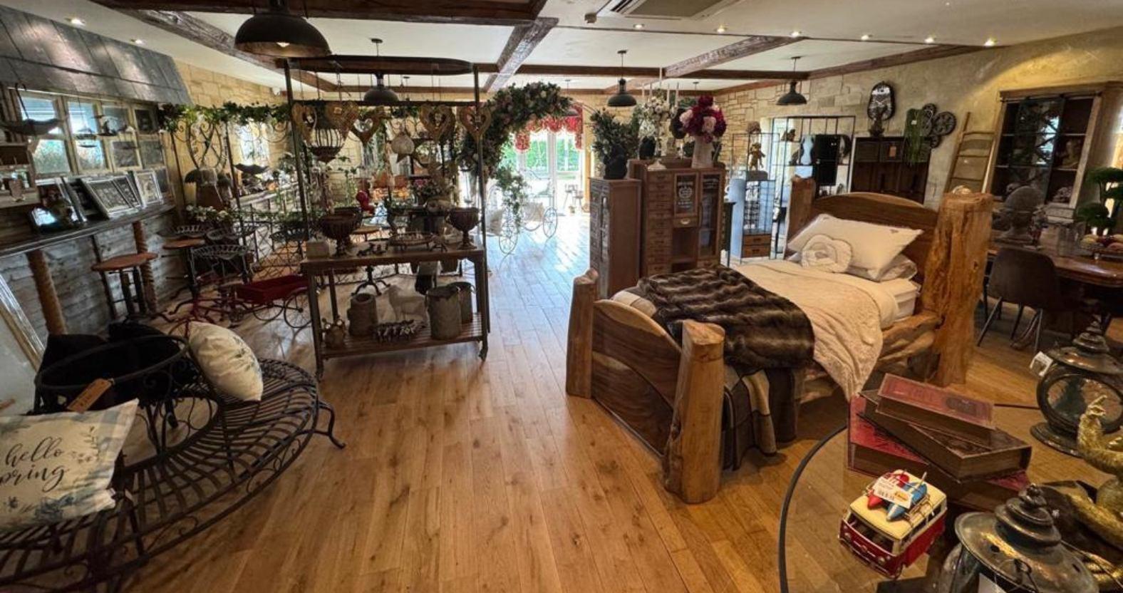 toadhallemporium-interior