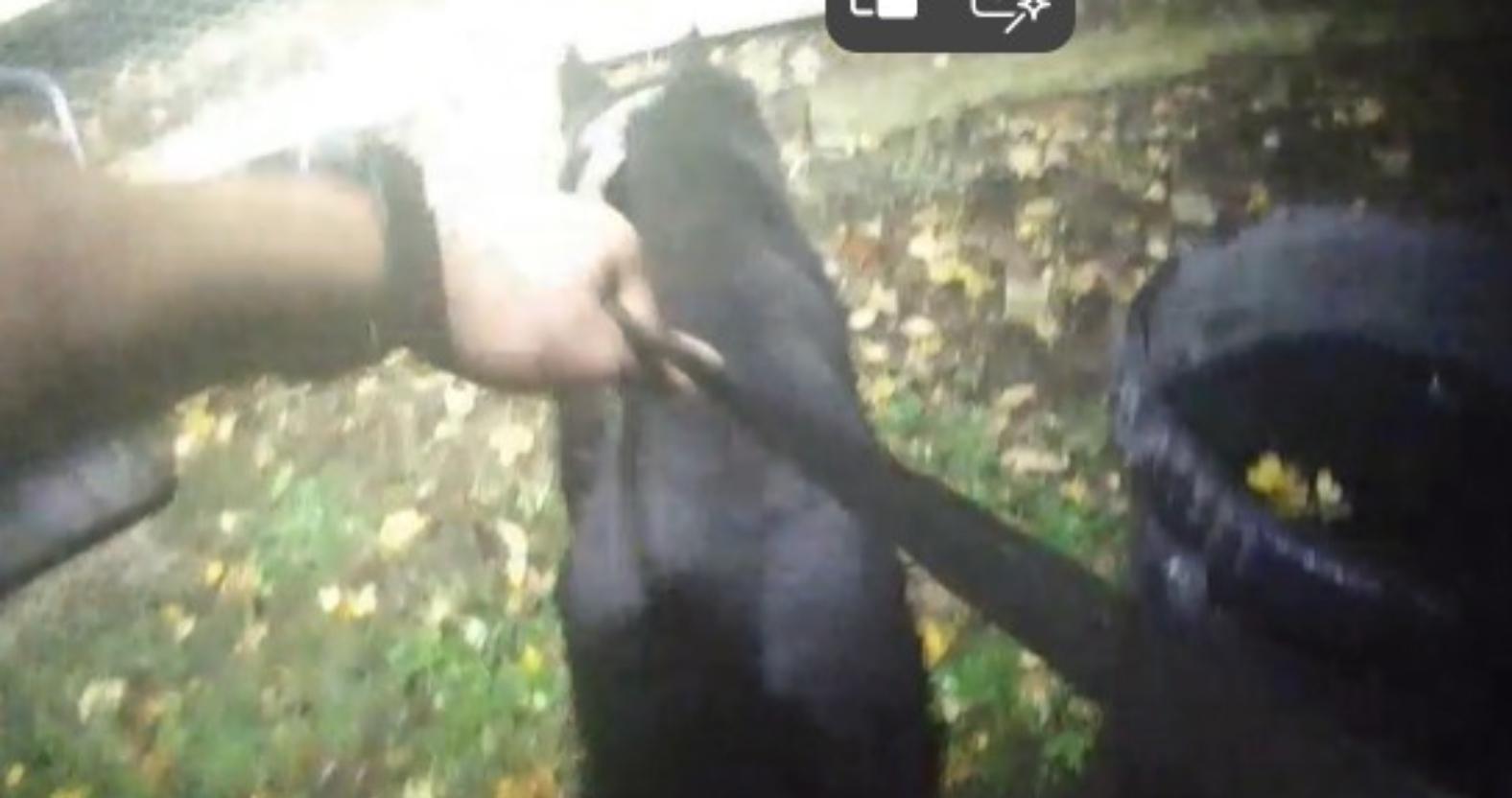 577176519_1231991432289411_2448843597707055594_n