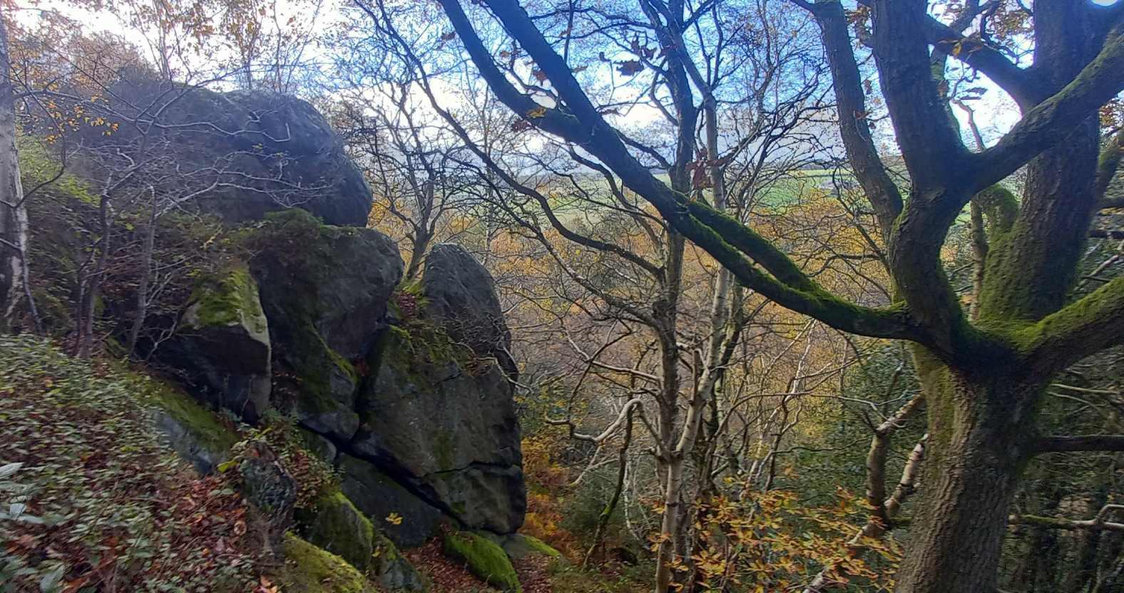 harrogate-birkcrag2