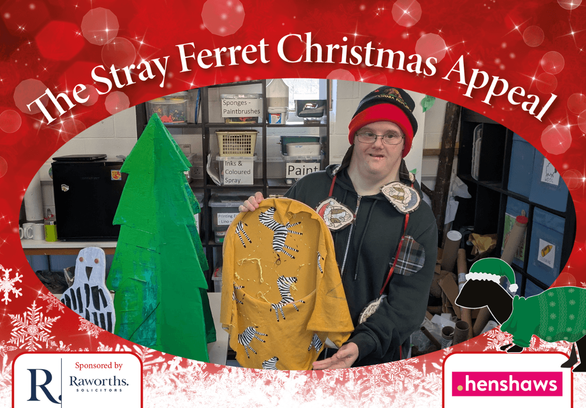 new-stray-ferret-henshaws-christmas-appeal