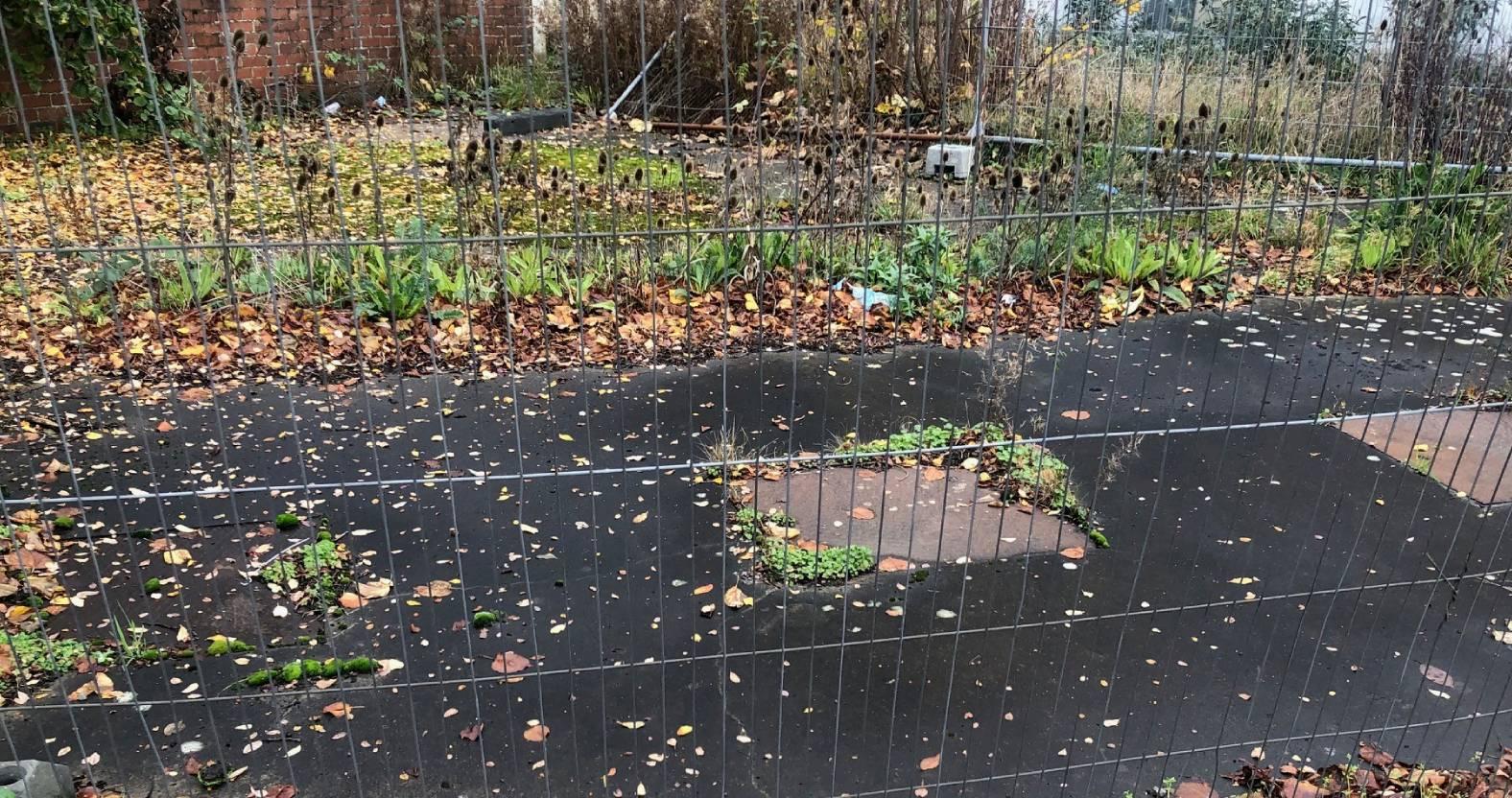 ripon-11-nov-2025-eyesore-site-2