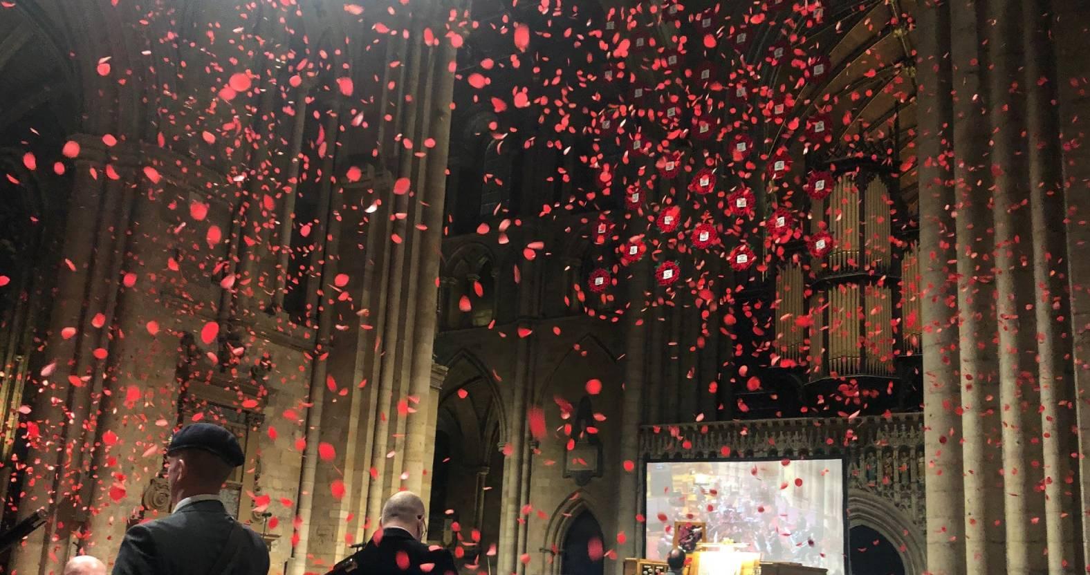 ripon-7-nov-2025-cascade-of-poppies-1