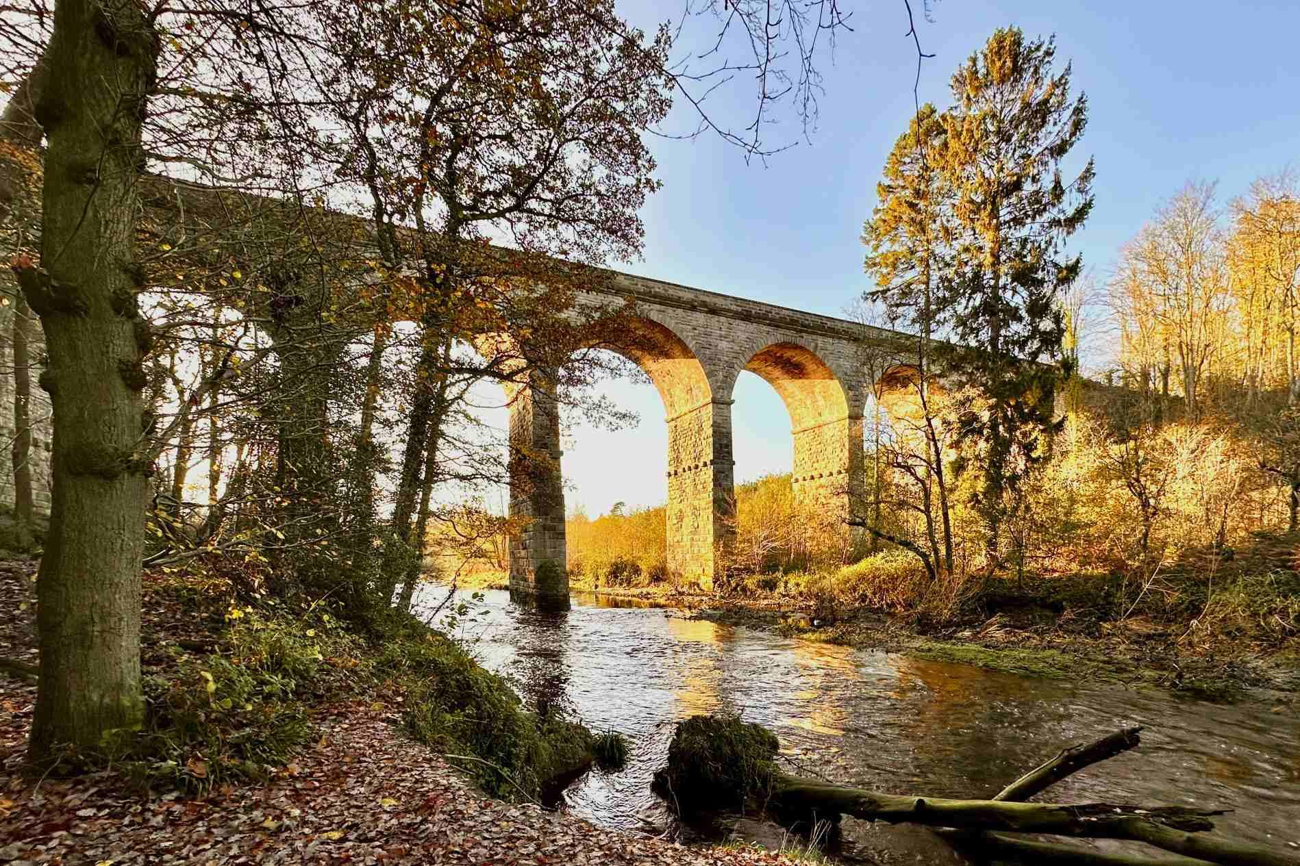 rivernidd-biltonviaduct