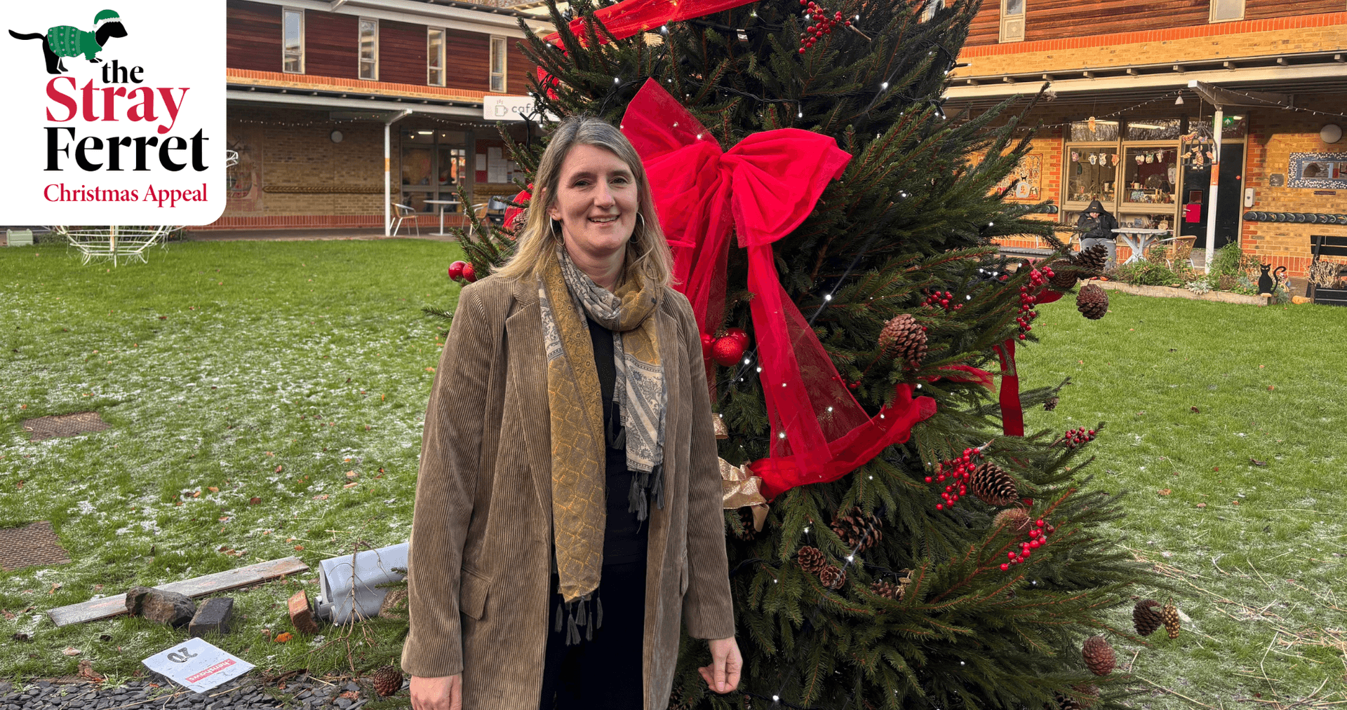 sally-daniels-henshaws-ceo