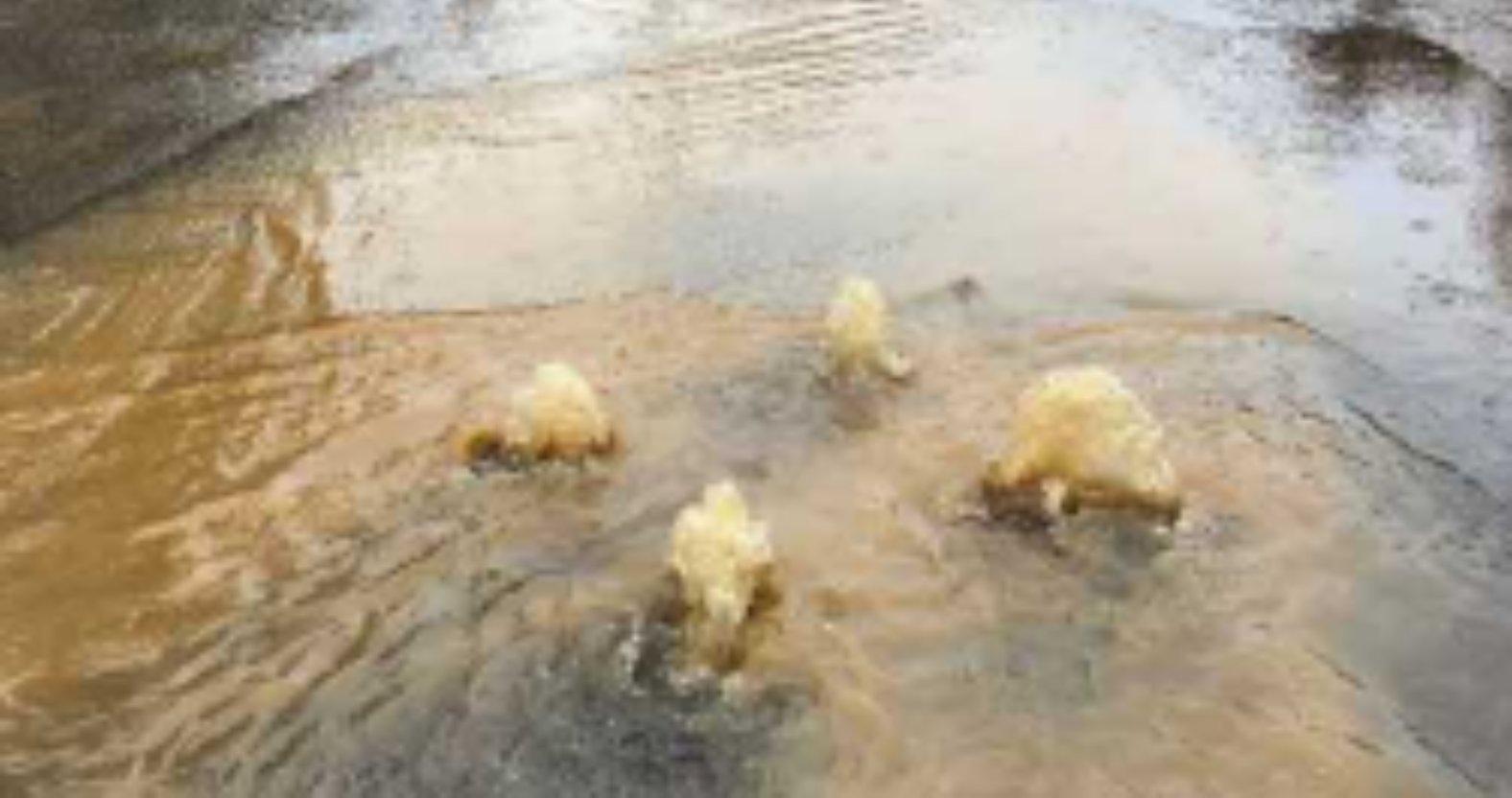 screenshot-2025-11-24-at-15-36-29