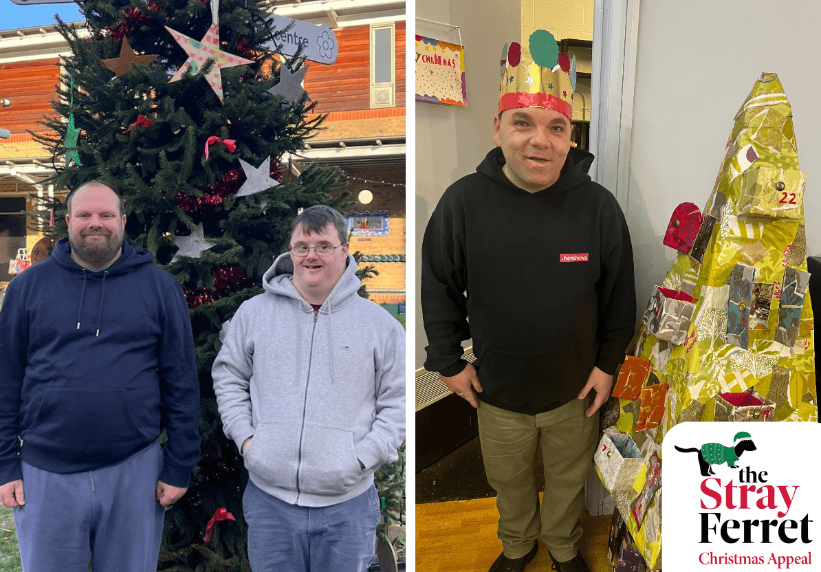 stray-ferret-henshaws-christmas-appeal-3