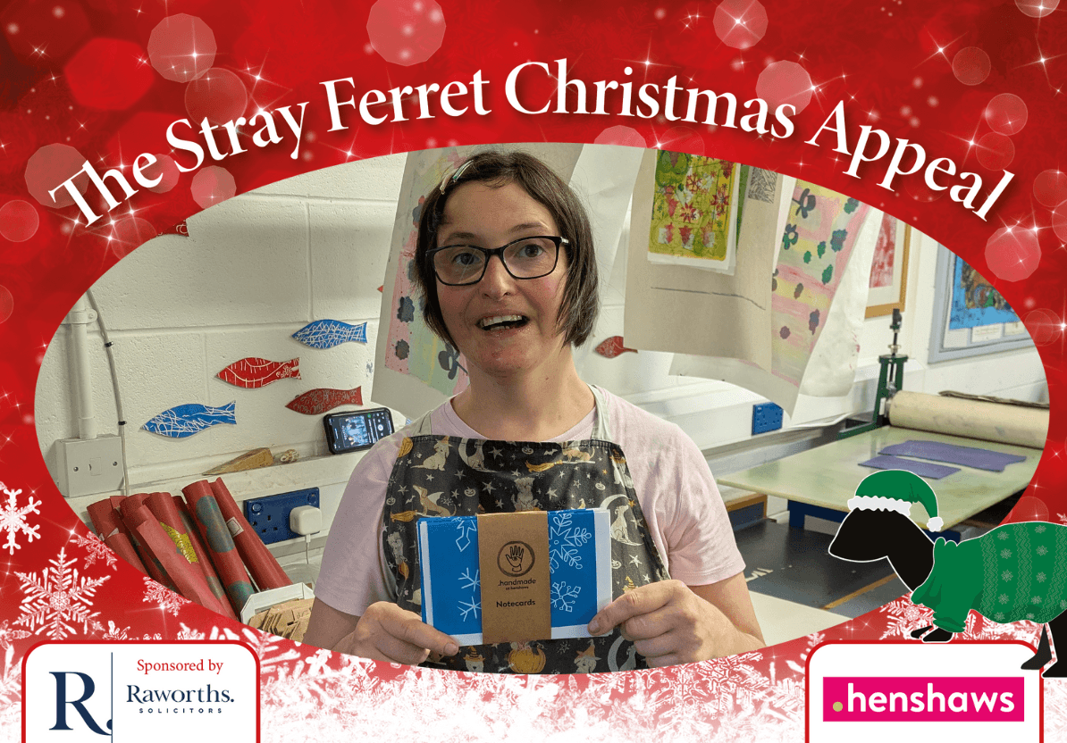 stray-ferret-henshaws-christmas-appeal-jenna