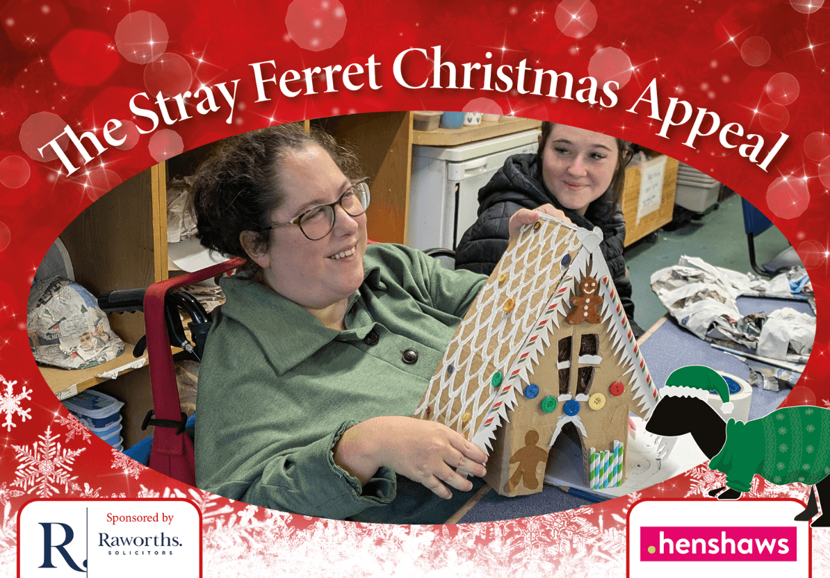 stray-ferret-henshaws-christmas-appeal-ru