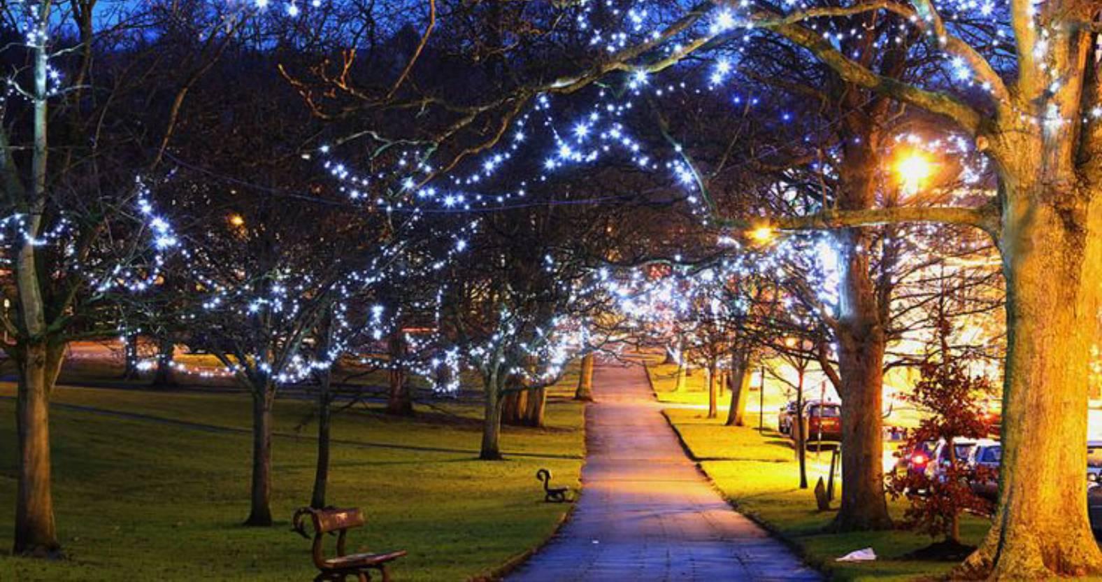 straylights-montpellierhill-lit