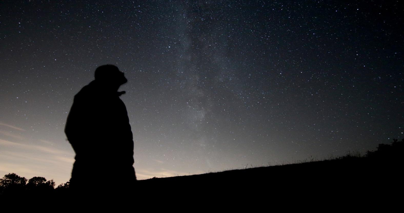 limetreeobservatory-observer