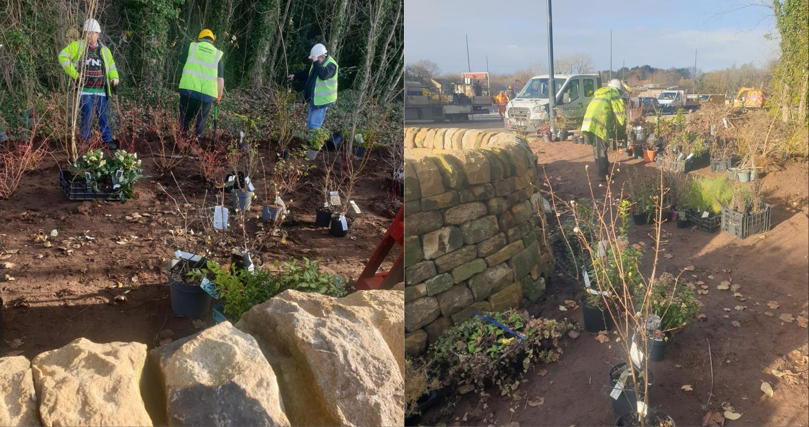 mixcollage-05-dec-2025-03-41-pm-4111