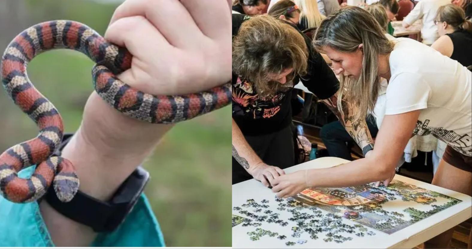 mixcollage-10-dec-2025-11-02-am-5299