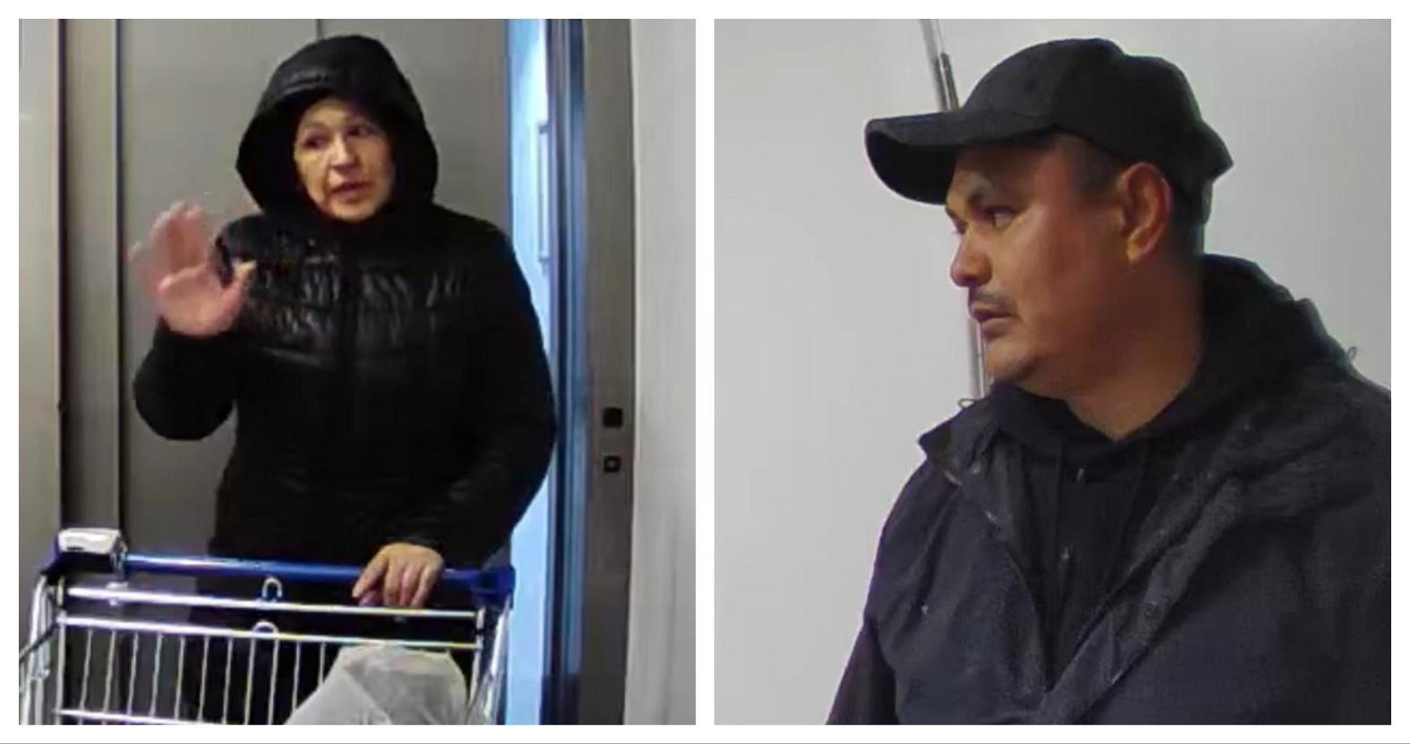 mixcollage-19-dec-2025-10-08-am-4498