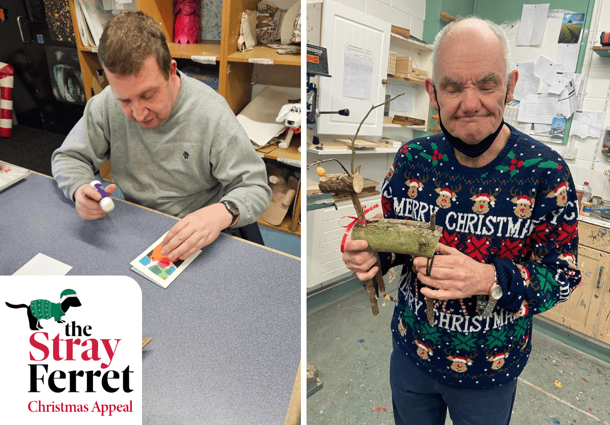 new-stray-ferret-henshaws-christmas-appeal-11