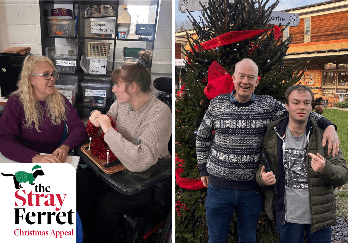 new-stray-ferret-henshaws-christmas-appeal-13