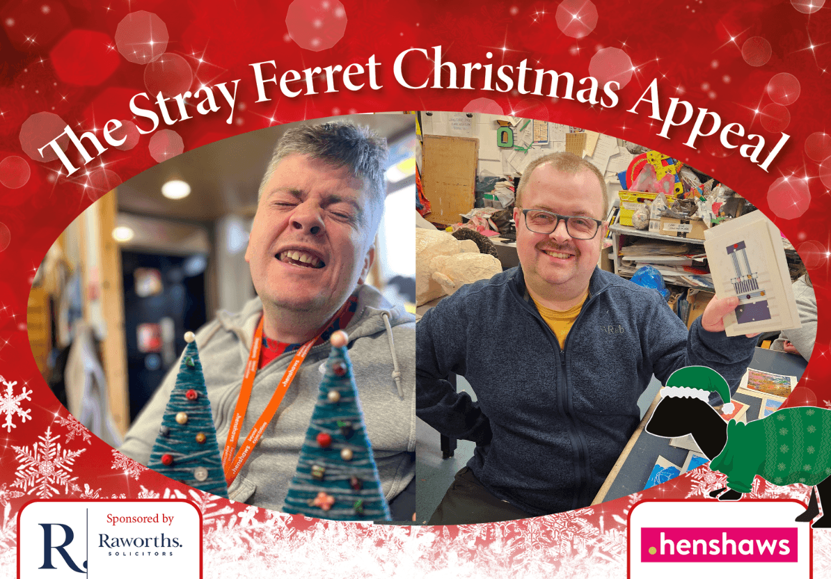 new-stray-ferret-henshaws-christmas-appeal-14