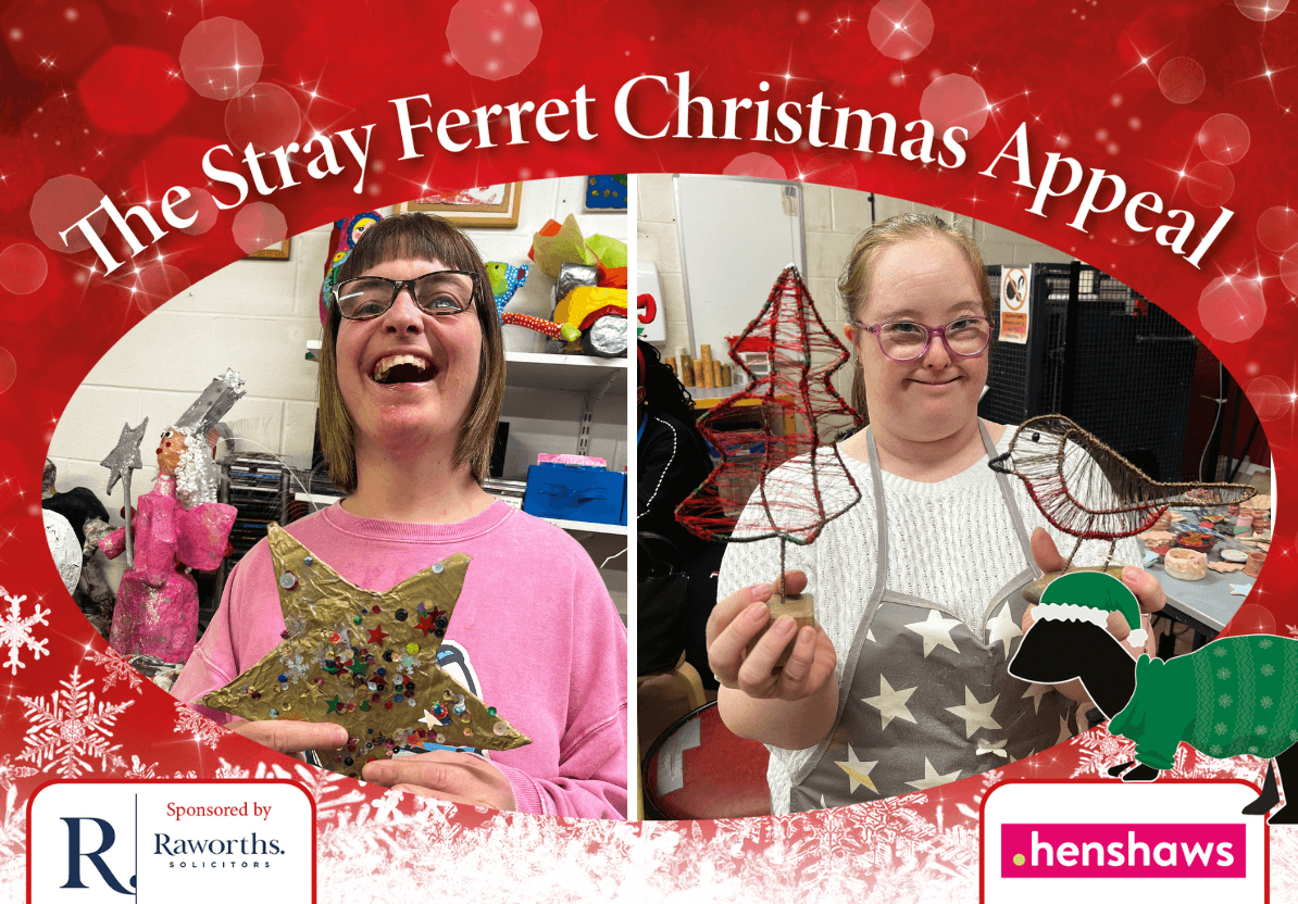 new-stray-ferret-henshaws-christmas-appeal-2