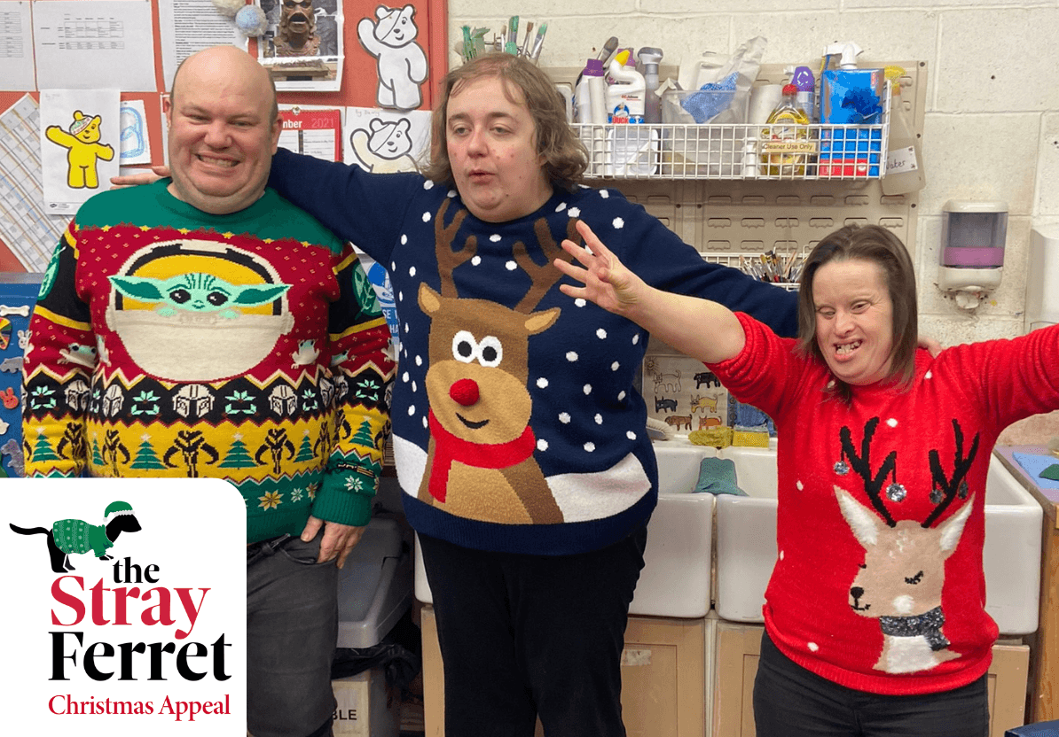 new-stray-ferret-henshaws-christmas-appeal-3