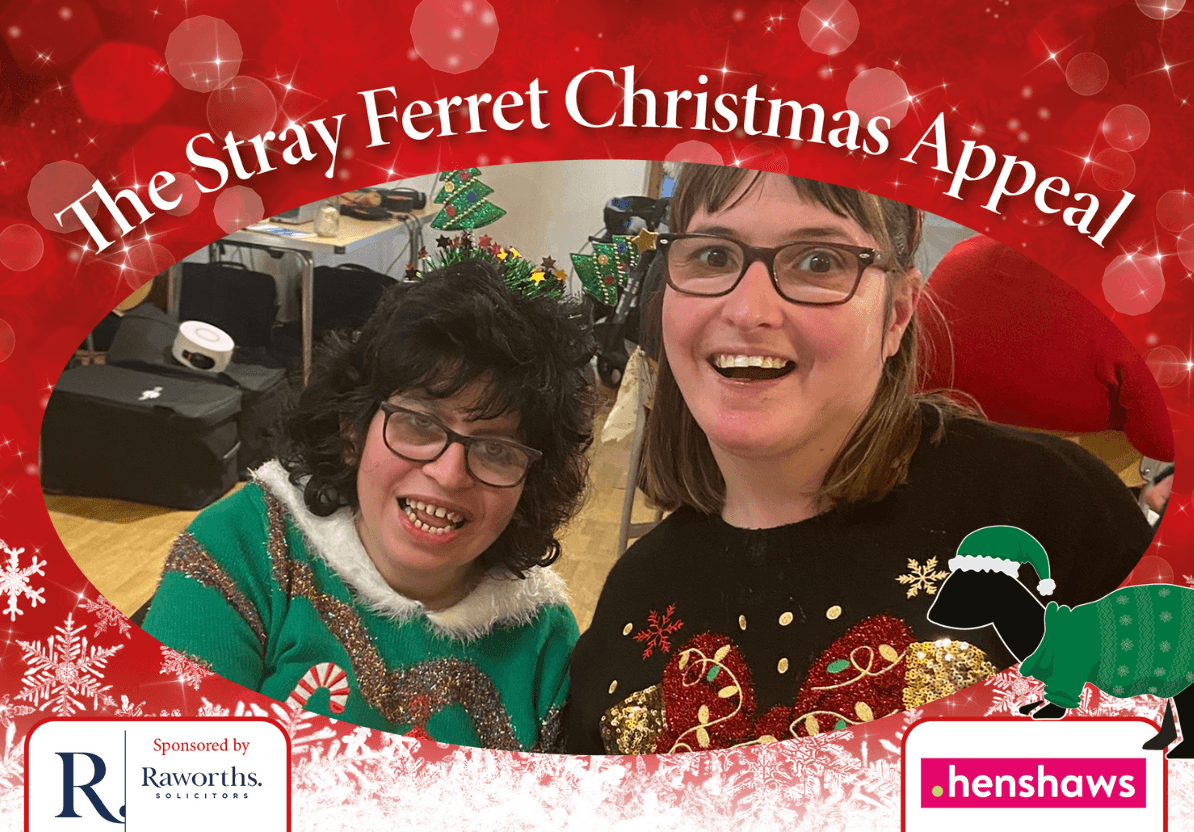 new-stray-ferret-henshaws-christmas-appeal-5