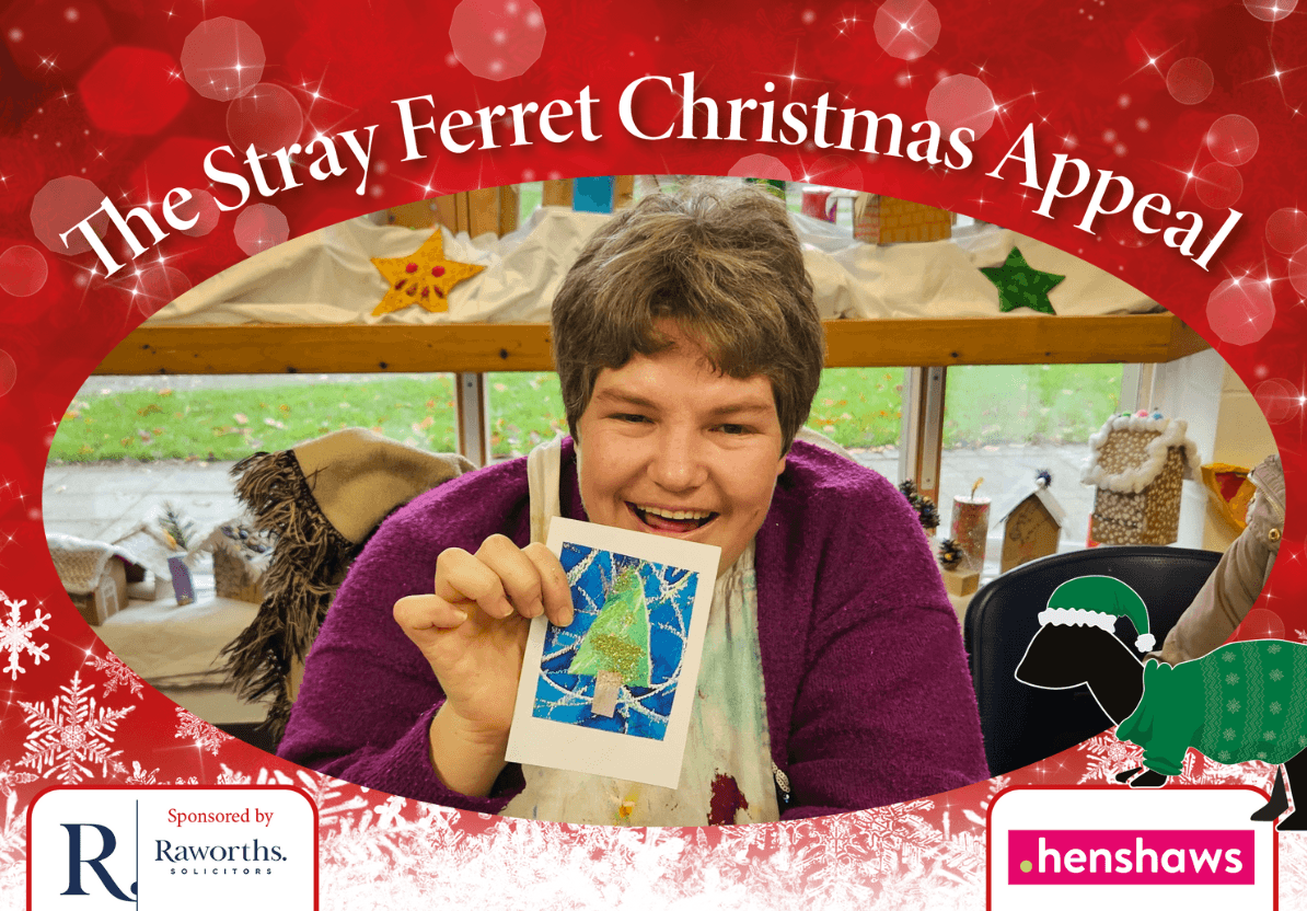 new-stray-ferret-henshaws-christmas-appeal-6