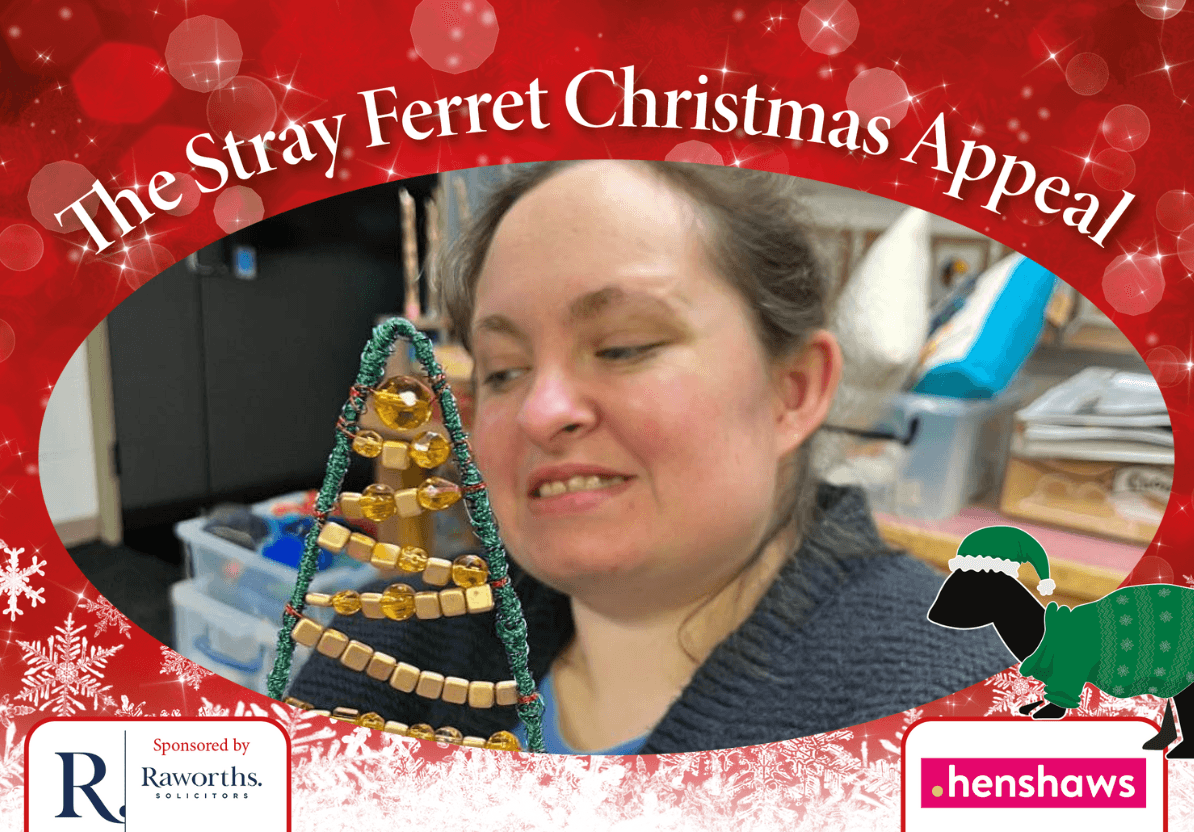 new-stray-ferret-henshaws-christmas-appeal-9