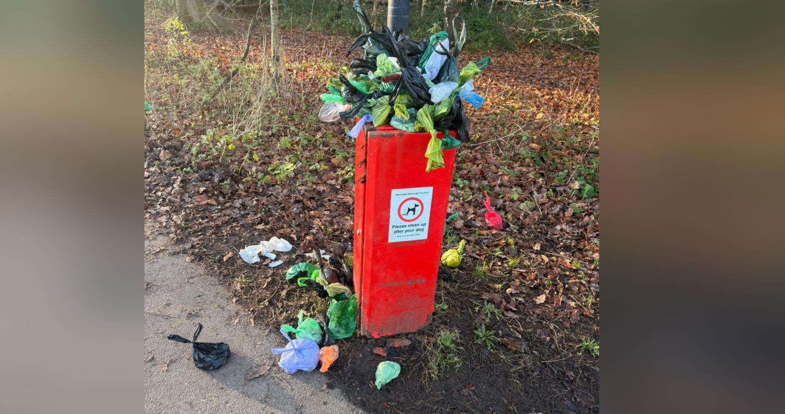 photo-2025-12-31-12-34-00-1