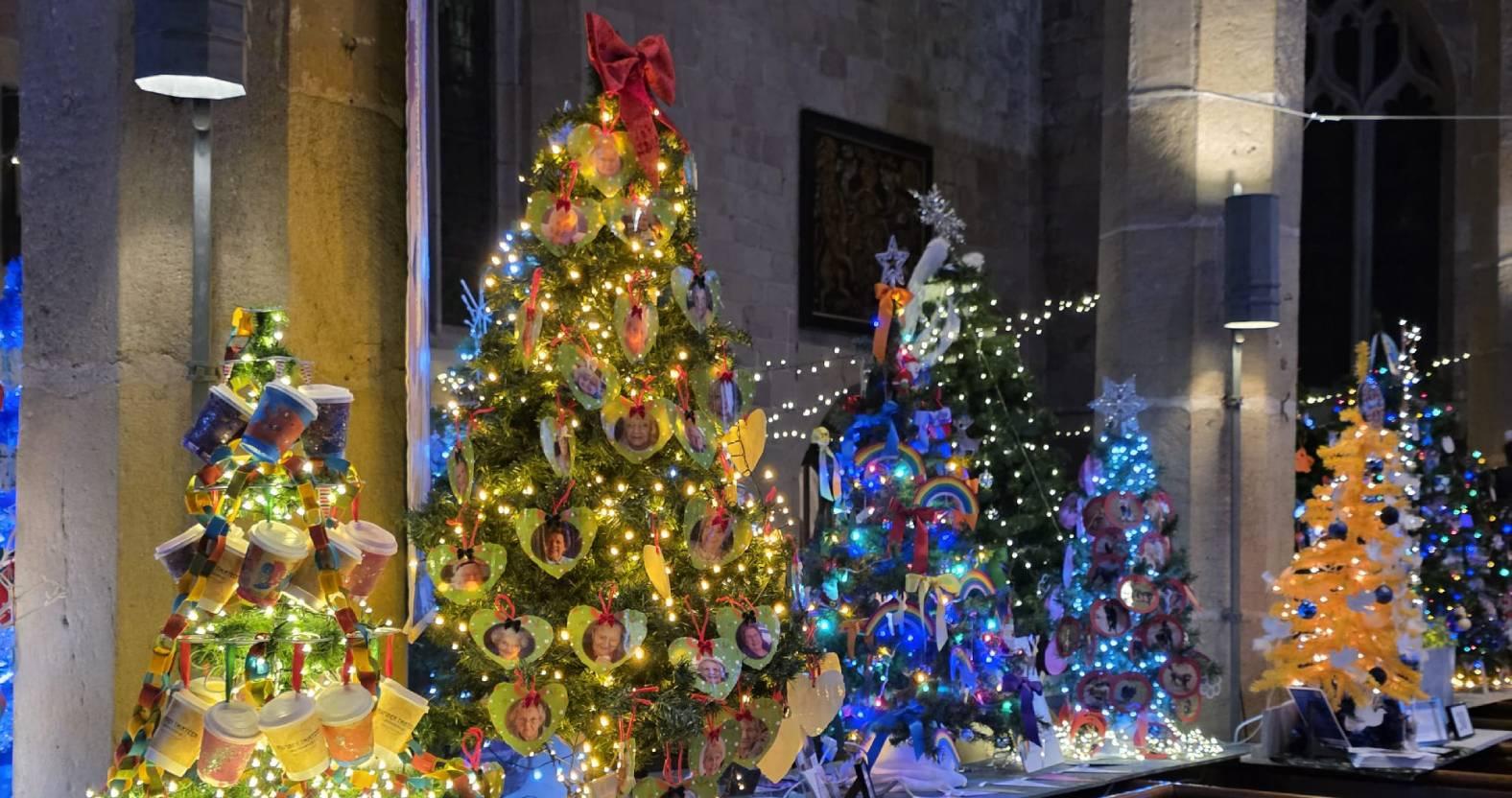 web-knaresborough-xmas-trees