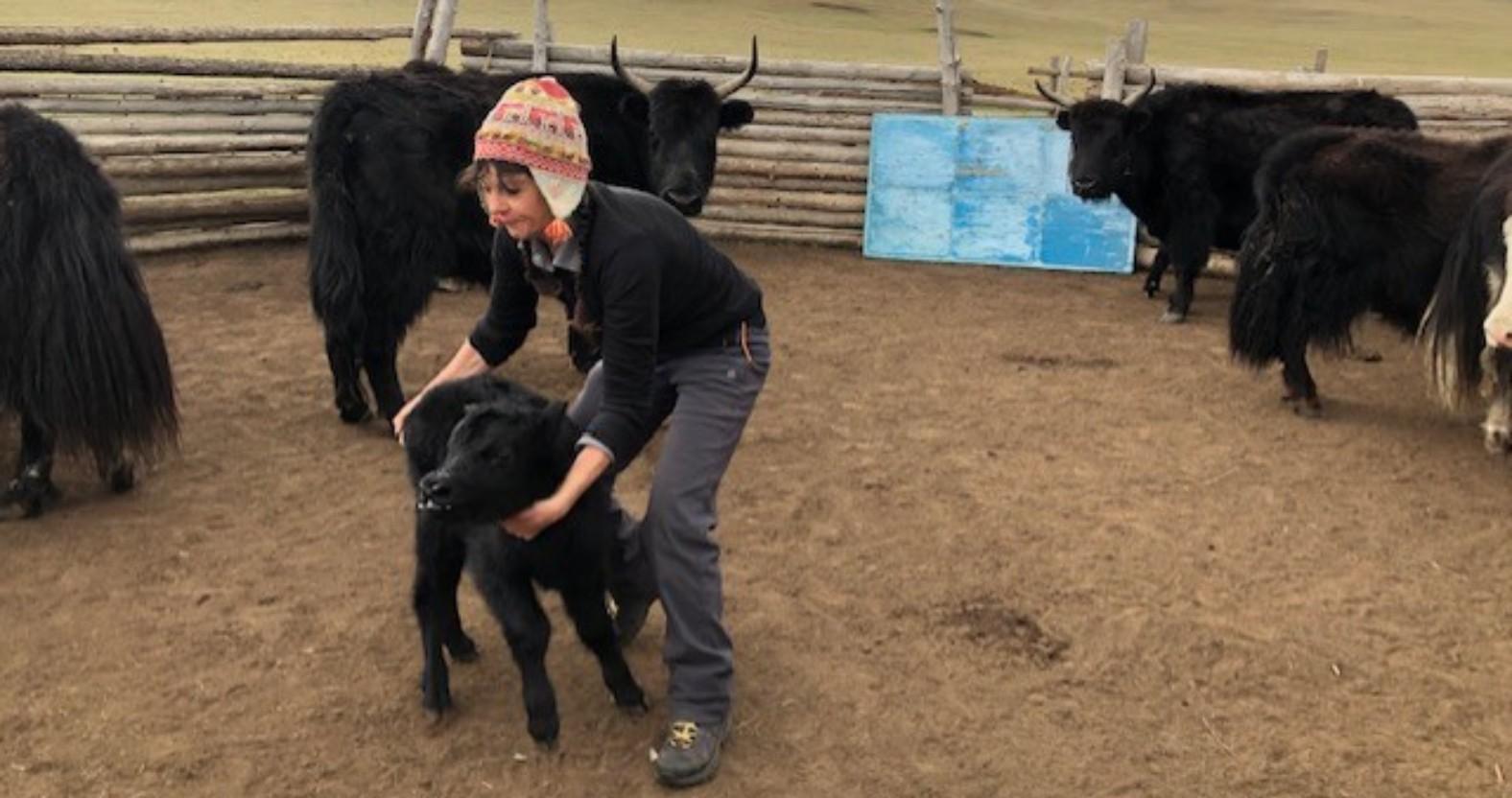 catherinesimmons-yakcalf