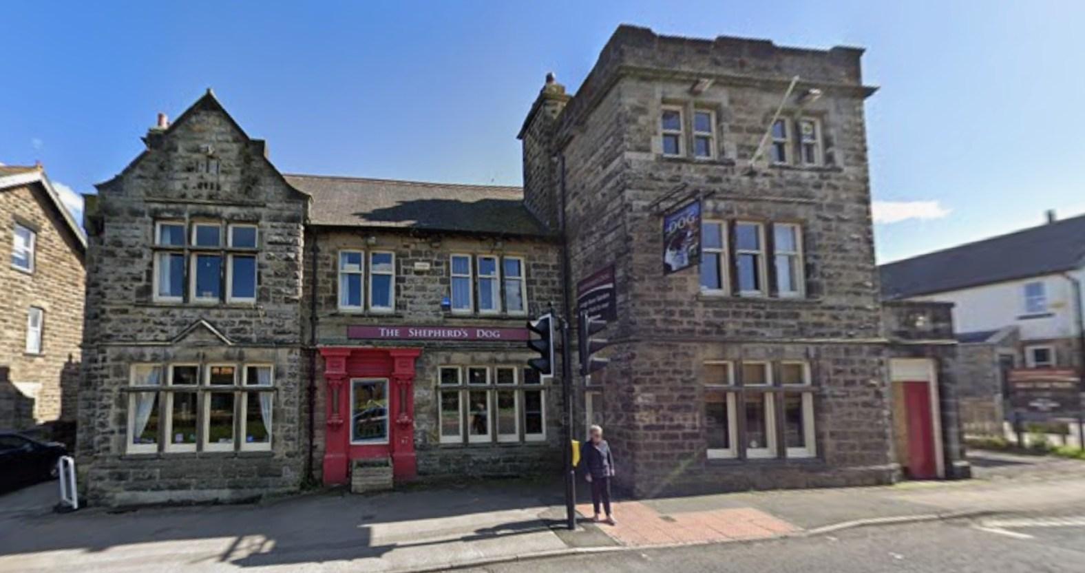 harrogate-shepherdsdog-2022