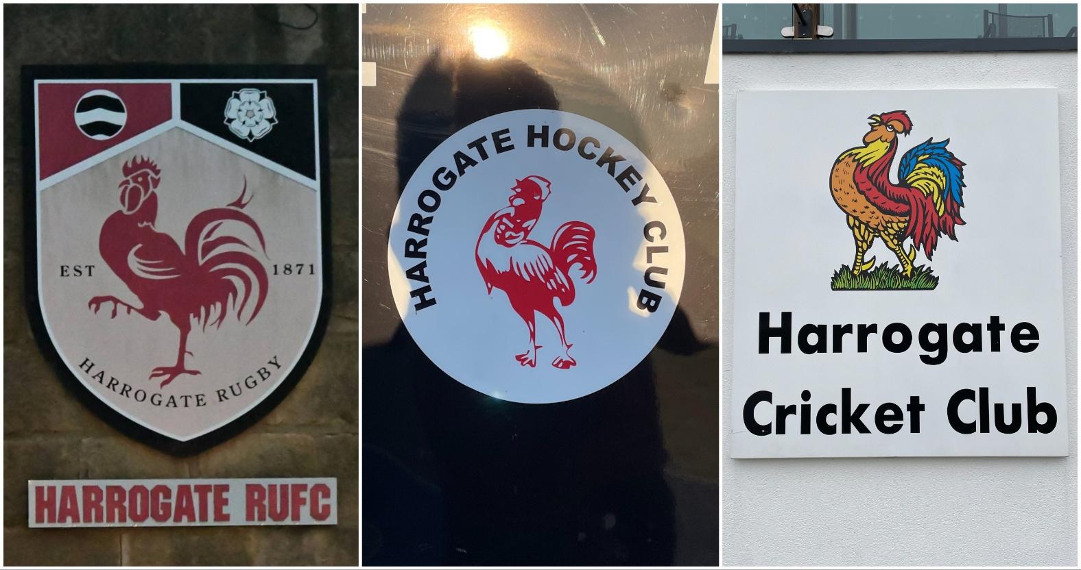 mixcollage-08-jan-2026-04-27-pm-8060